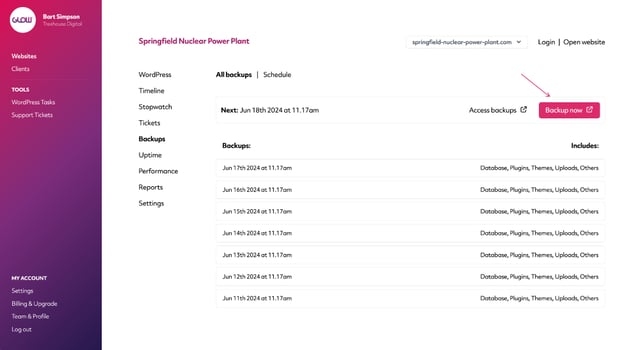 screenshot of glow showing how you can take an instant backup of a website when you need to