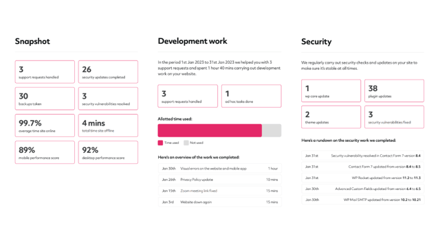 screenshots showing different pages of the client report
