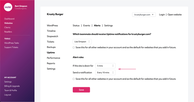 glow wordpress uptime monitoring, screenshot of the glow app, where you can choose when and how often you receive downtime notifications